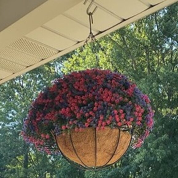 NEW 3 Pack 10" Metal Hanging Flower Pots Hanging Planters Plant Basket - Picture 4 of 9